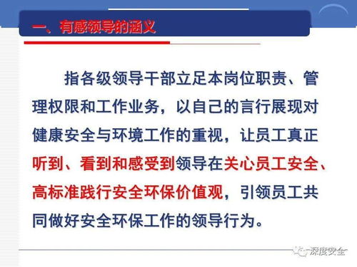 跨國公司的安全文化構建與經紀服務支持